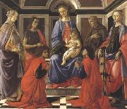 Sandro Botticelli Madonna enthroned with Child and Saints (Mary Magdalene,John the Baptist,Cosmas and Damien,Sts Francis and Catherine of Alexandria) oil